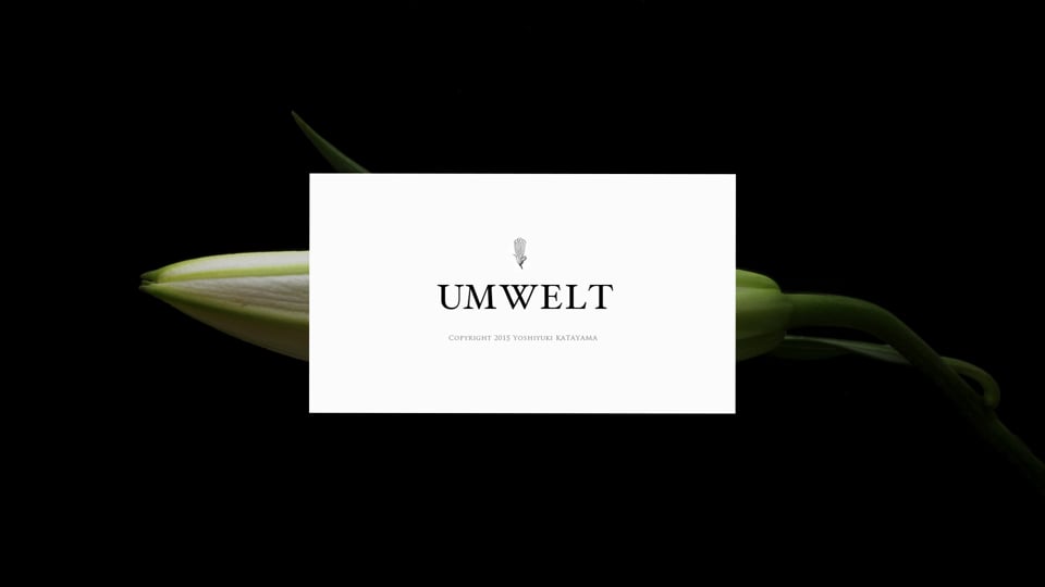 Umwelt