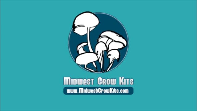 Midwest Grow Kits Drying On Vimeo