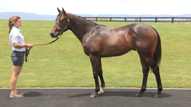 Lot 54