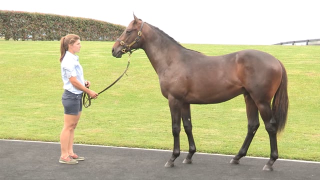 Lot 102