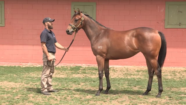 Lot 434
