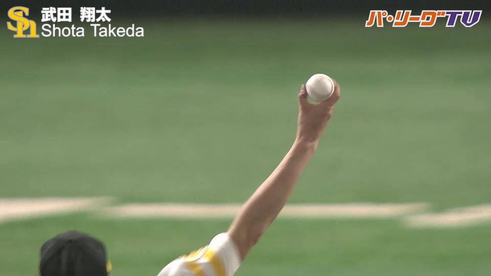 武田 翔太 / Shota Takeda