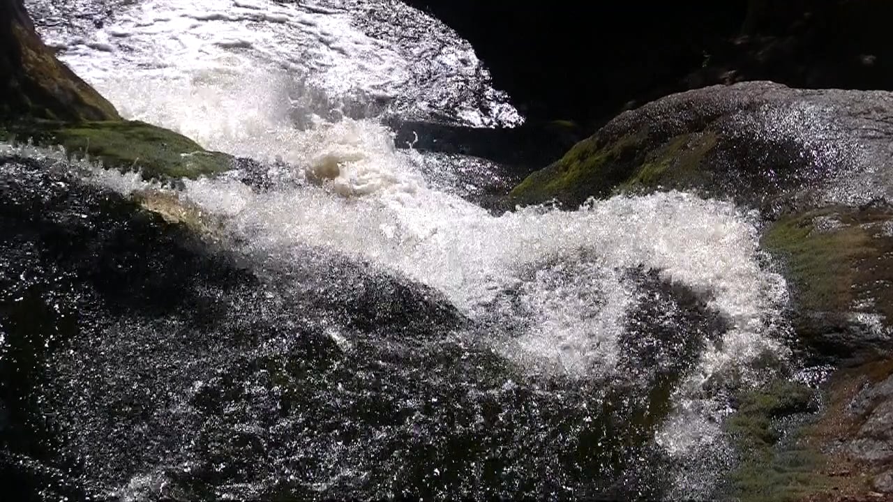 Water Refuge
