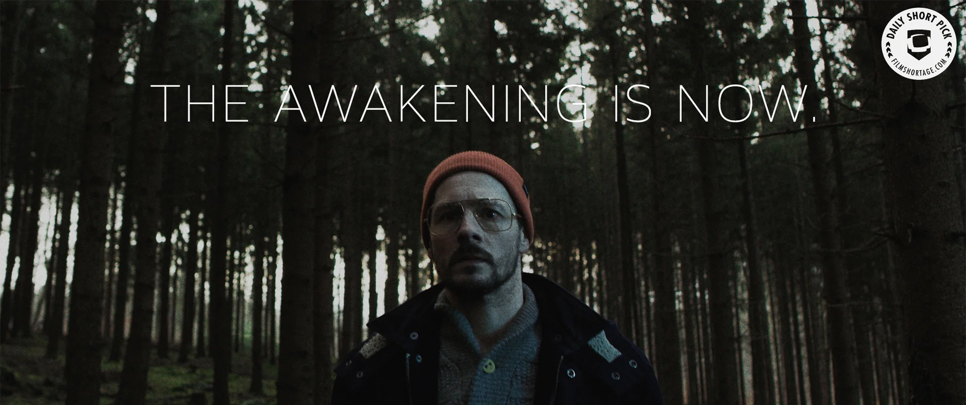 The awakening