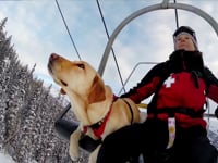 Telluride Avalanche Dogs • 100% GoPro edit