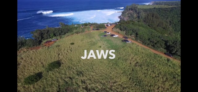 JAWS WIPEOUT