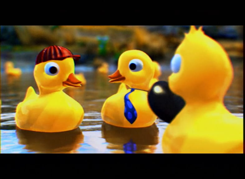 HBL_ducks on Vimeo