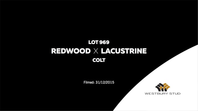 Lot 969