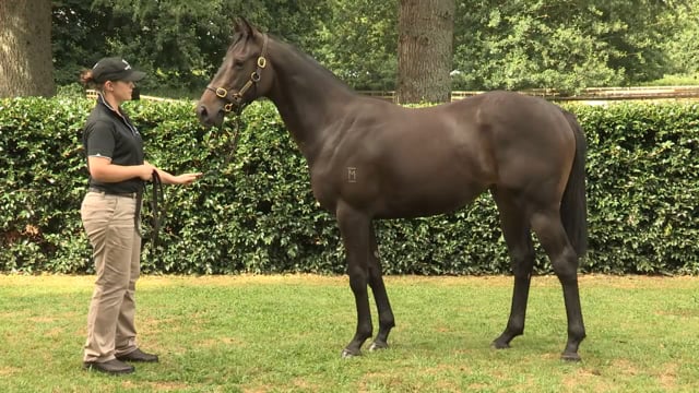 Lot 164
