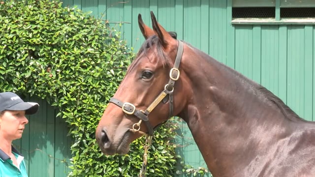 Lot 358