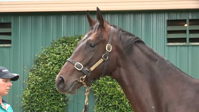 Lot 746