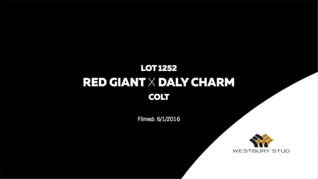 Lot 1252