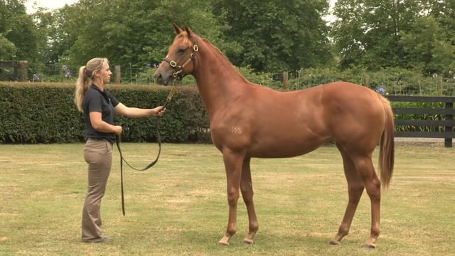 Lot 423