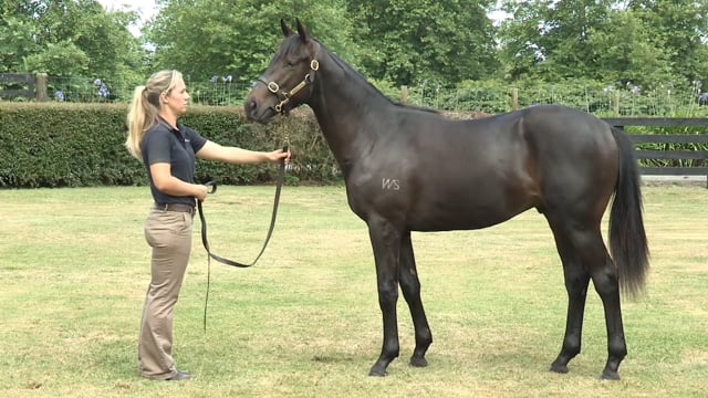 Lot 89