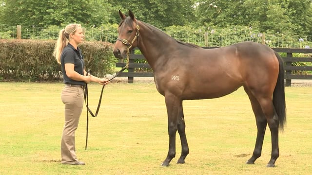 Lot 208