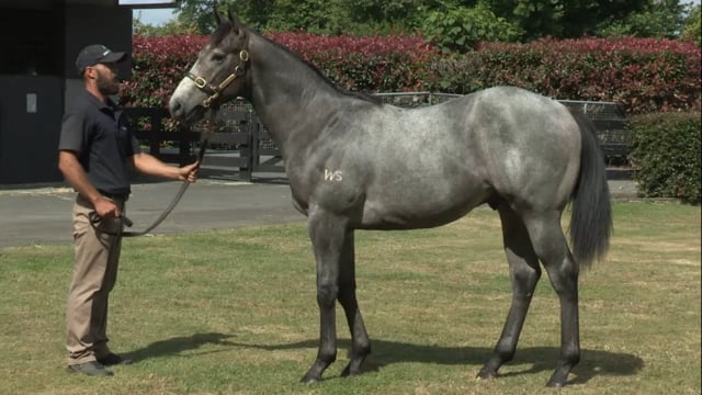 Lot 128