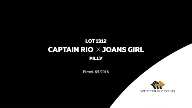 Lot 1312