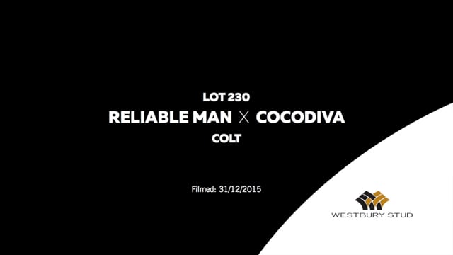 Lot 230