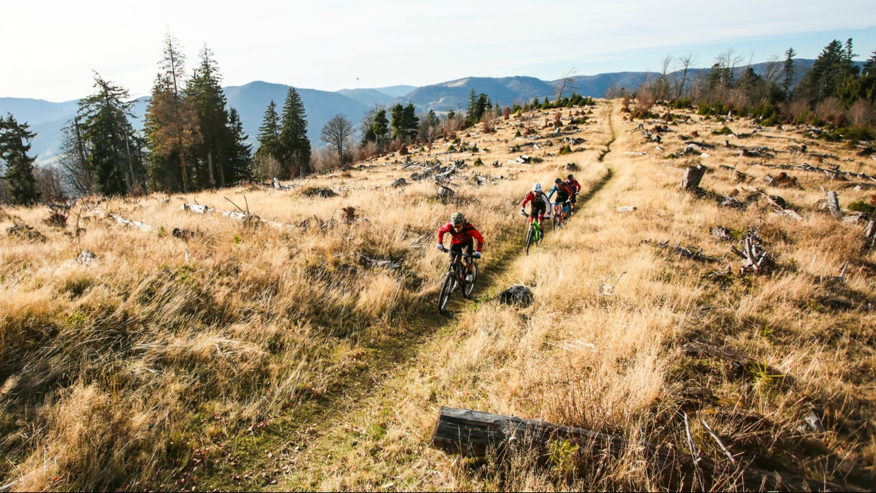 Lapierre /// Zesty - All Mountain, All year round