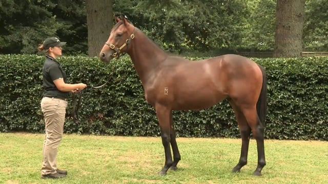 Lot 268