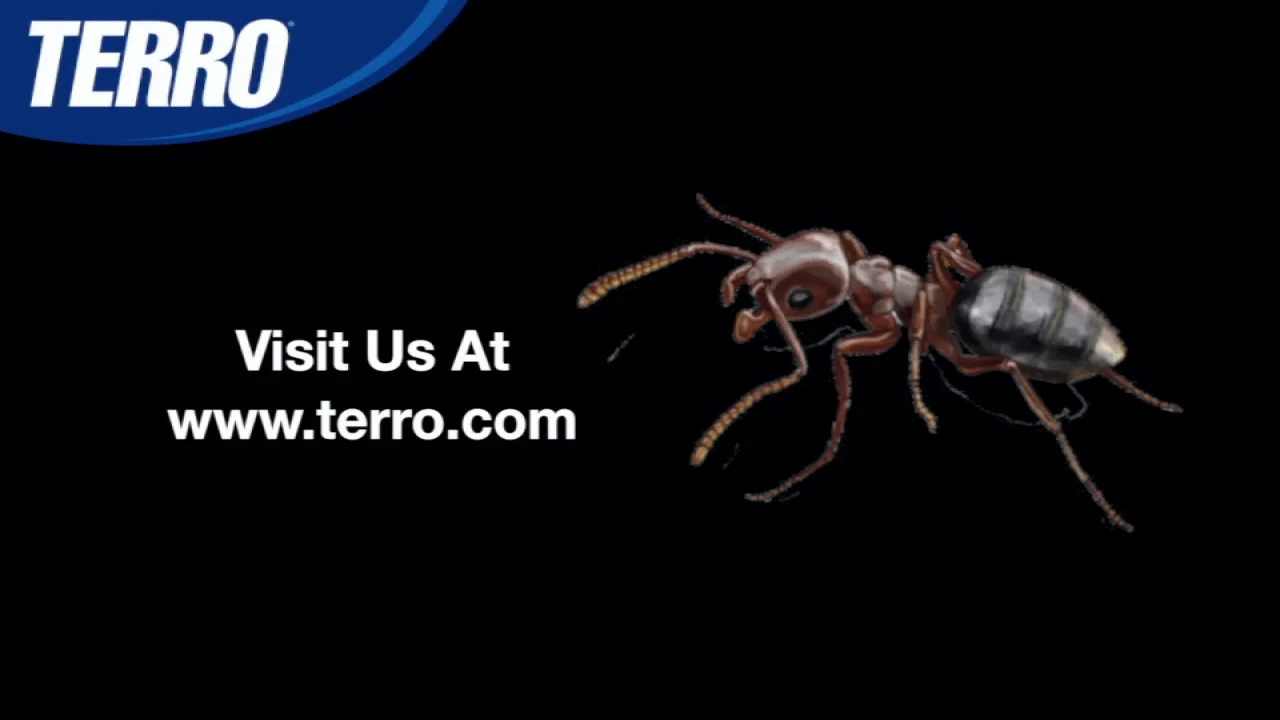 Why Ants Sometimes Drown in TERRO Liquid Ant Bait 