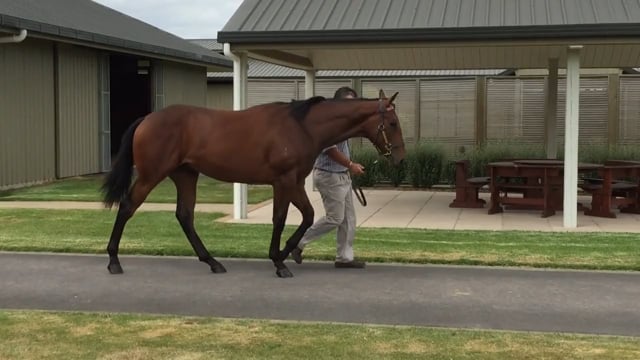 Lot 47