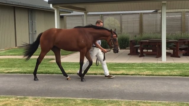 Lot 175