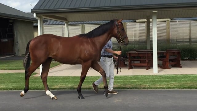 Lot 394