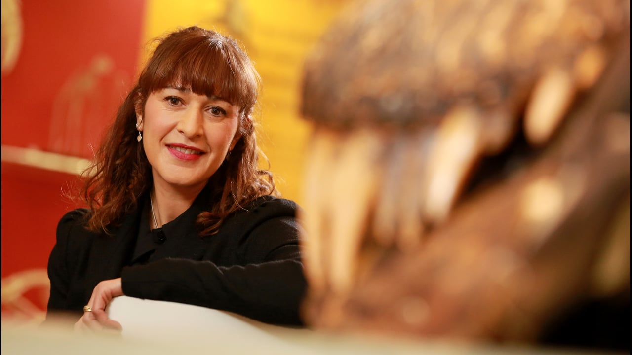 BBC iWonder - Which 5 animals are on the brink of oblivion?