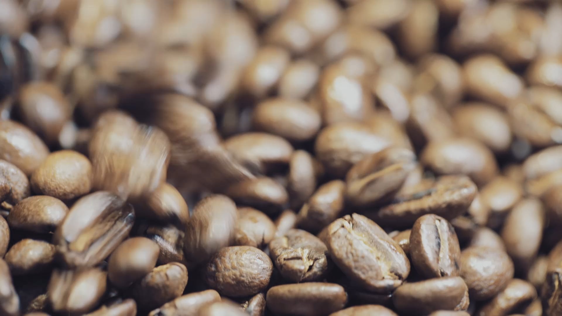 Y Not Coffee Engineer - Coffee Engineer