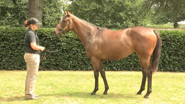 Lot 997
