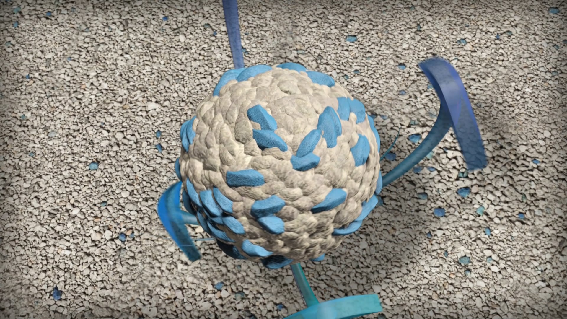 Hartz Multi - Cat Cat Litter - Edu-Tainment