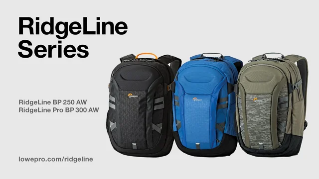 Shop Lowepro RidgeLine Pro BP 300 AW - A 25L – Luggage Factory