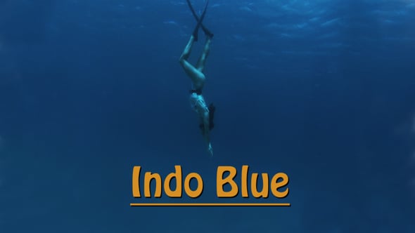 Blue film Indo. Film Blue Full Indonesia. Синий Indo Pro. Видео про Блю.