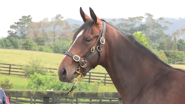 Lot 1098