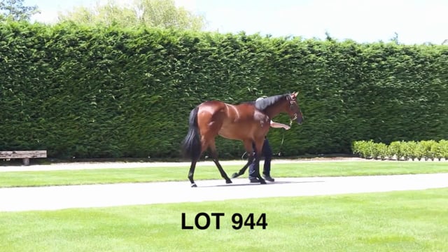 Lot 944