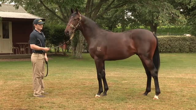 Lot 649