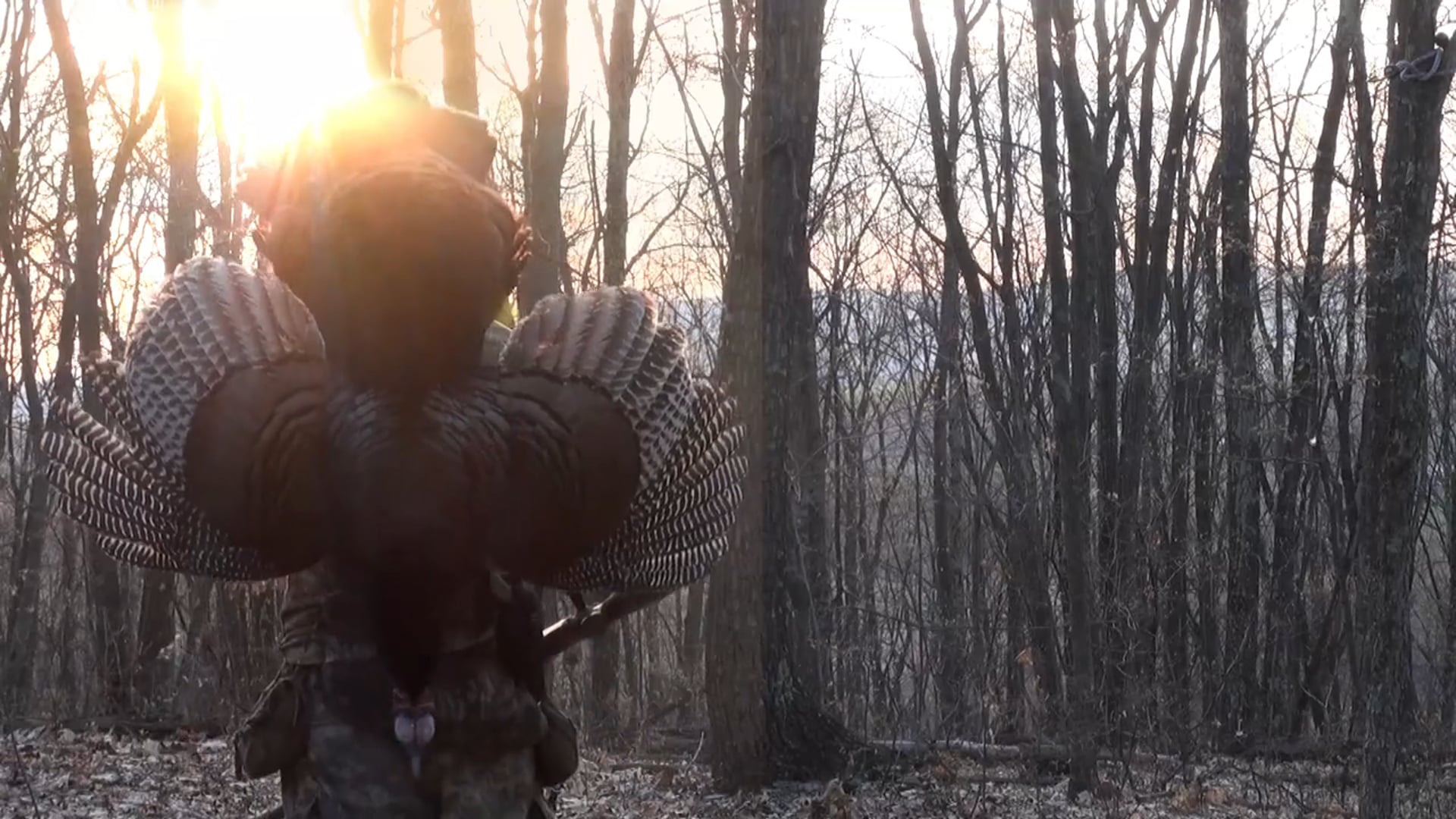 Outdoor Hunting Promo