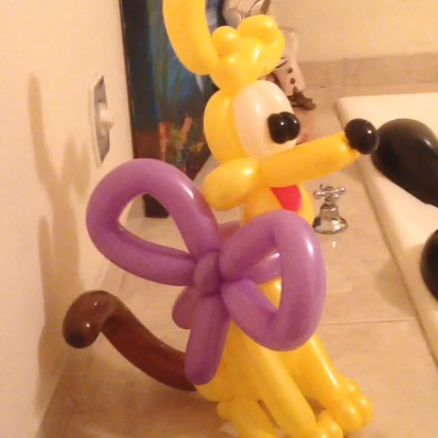 dog balloon twisting on Vimeo