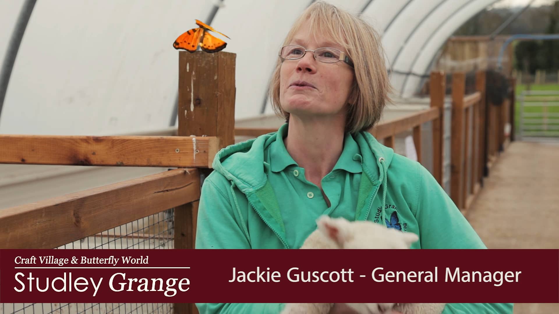 Studley Grange Lambs on Vimeo