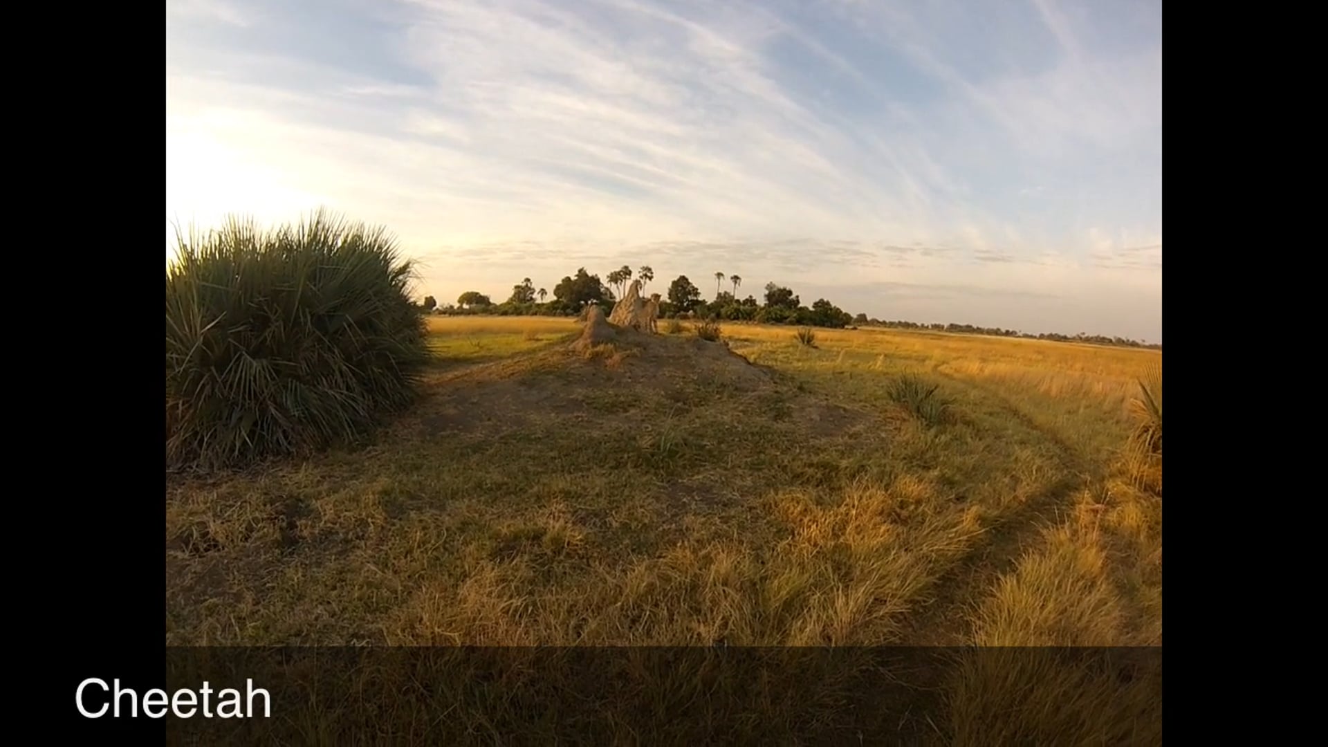 Sandibe Camp, Okavango Delta, Botswana 1