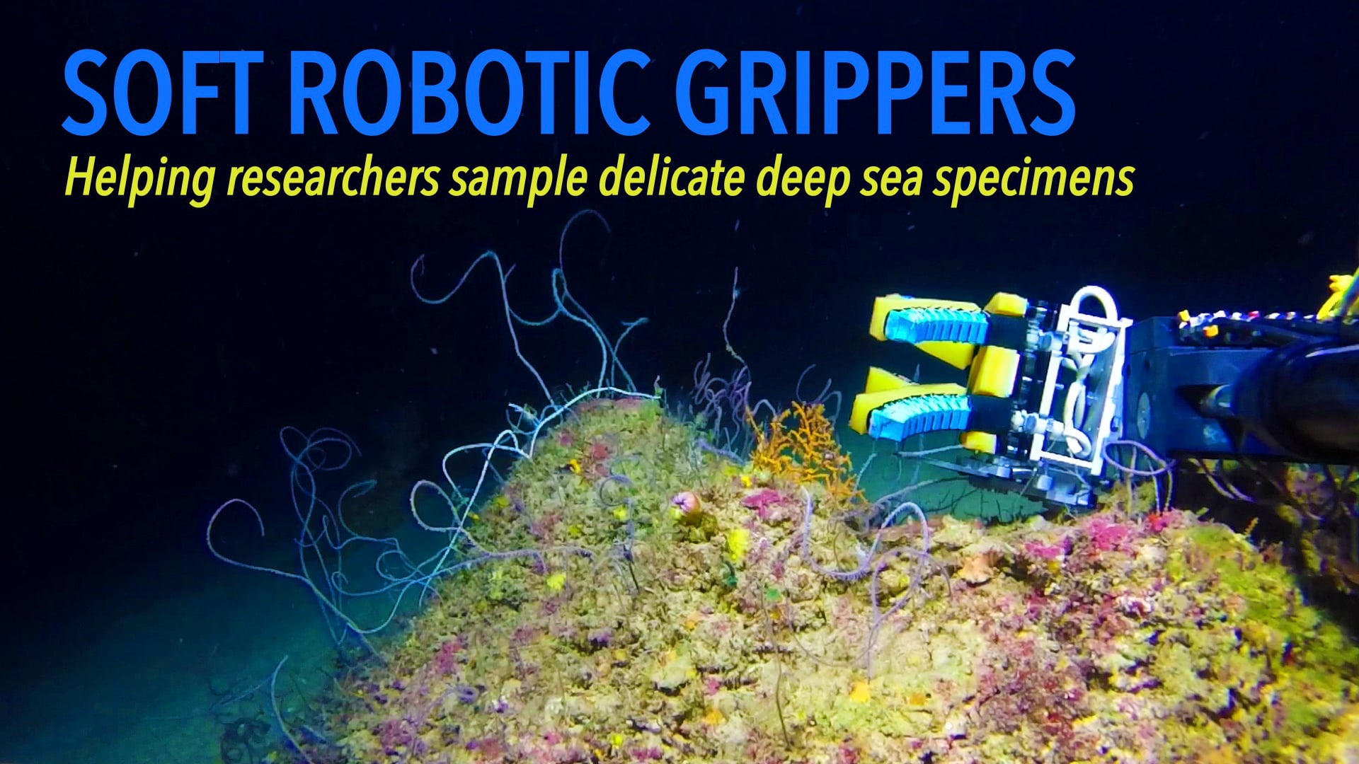 Soft Robotic Grippers For Deep-Sea Exploration