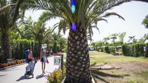 Las Dunas, millor càmping  familiar de 2015 a Europa