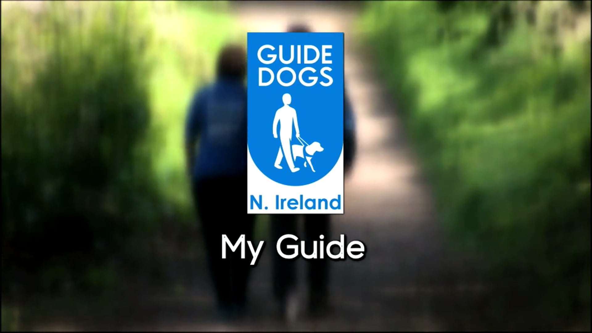My Guide Dogs Northern Ireland