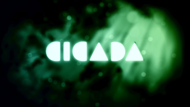 Cicada Design - Video - 1
