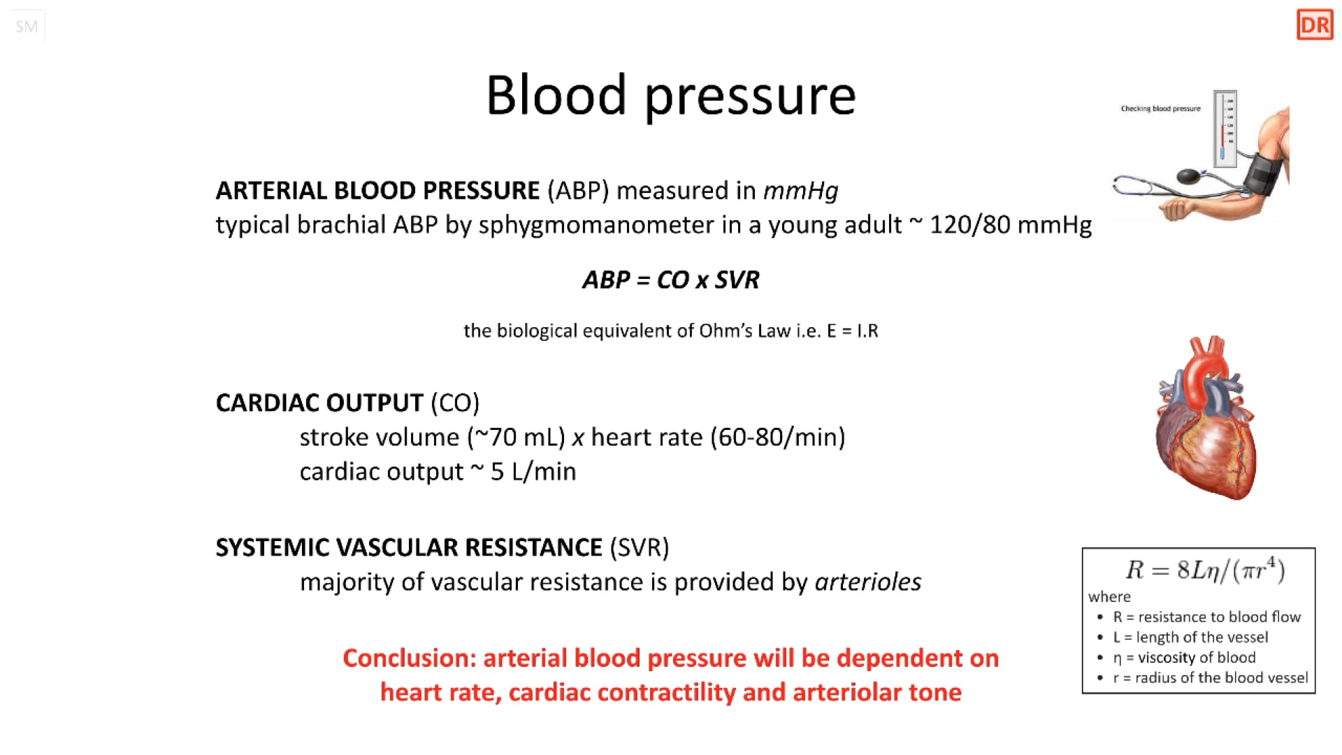 CPT-02-02-02 CVS - How is blood pressure regulated?