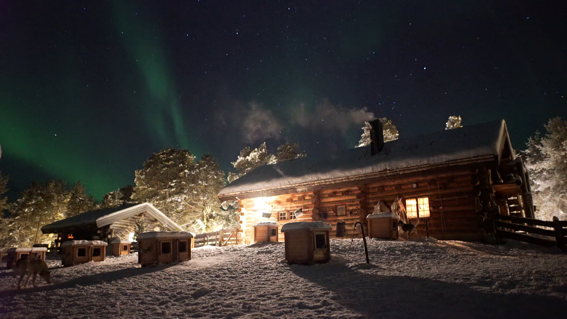 The beautiful northern lights