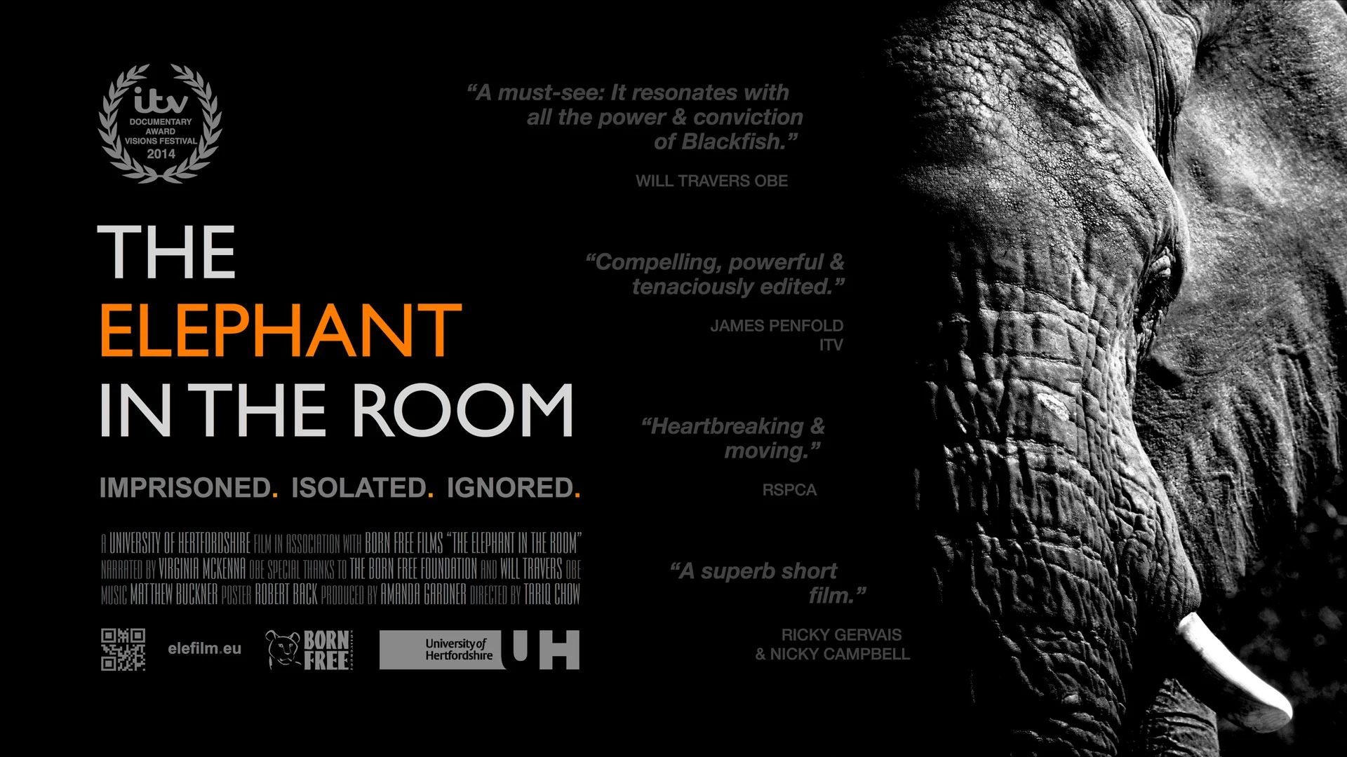 その他 Elephant in the Room [DVD] Patrice O'Neal Elephant in the Room DVD Comedy Special RARE OOP