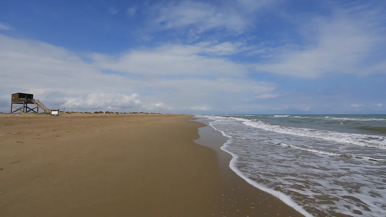 Watch Virtual Walk on Mediterranean Beach in Spain with Seabirds and ...