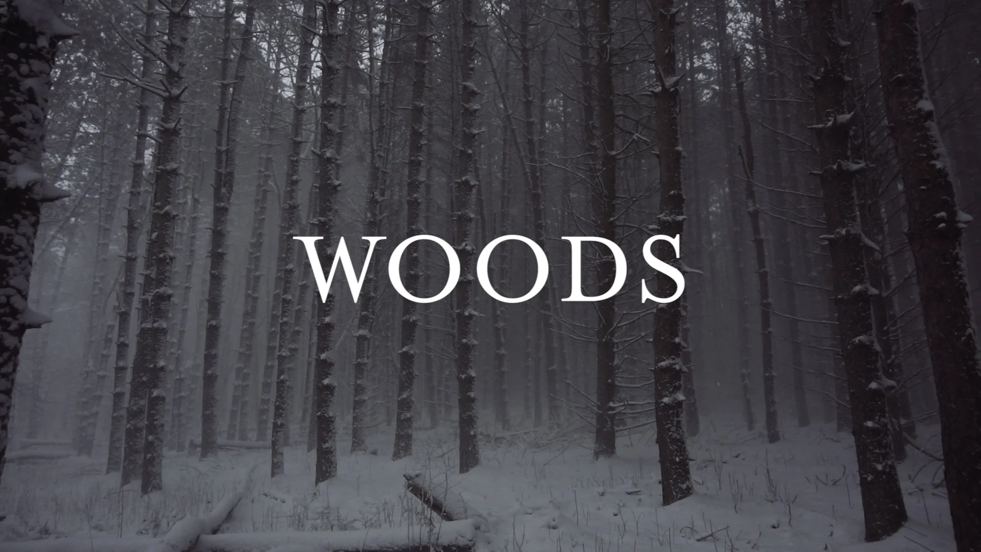 Video woods